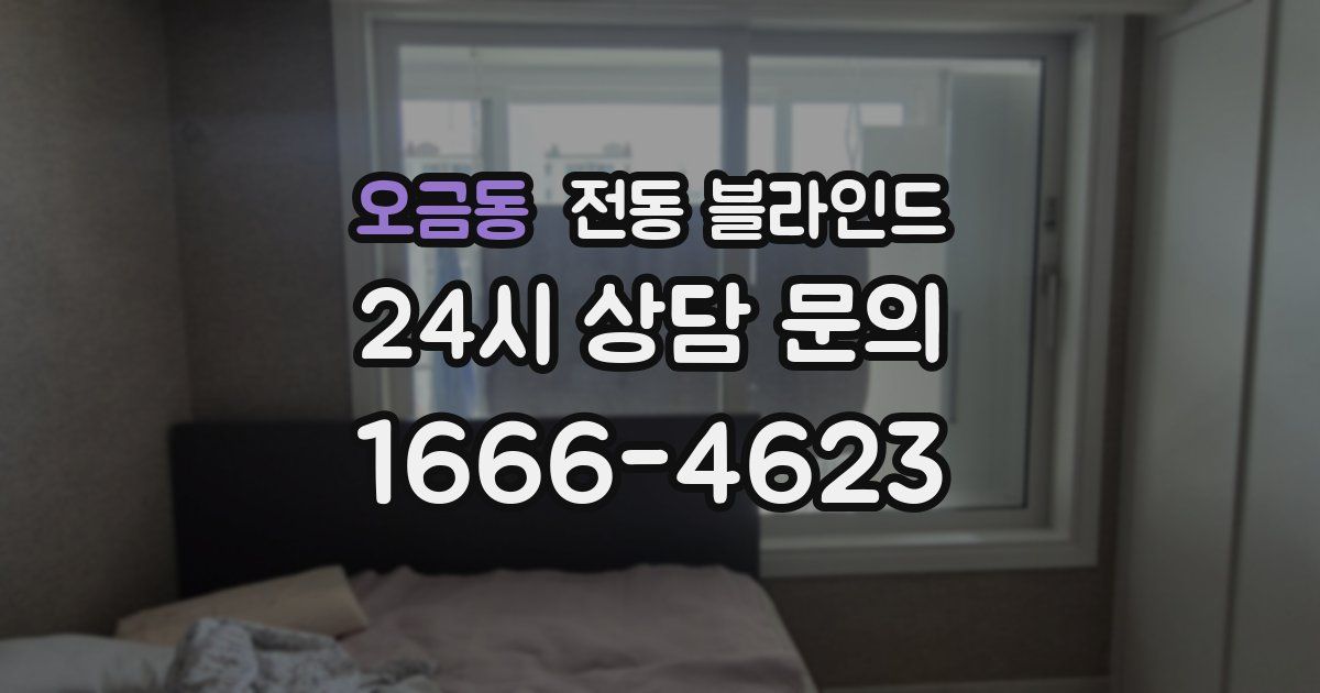 오금동 전동 블라인드
