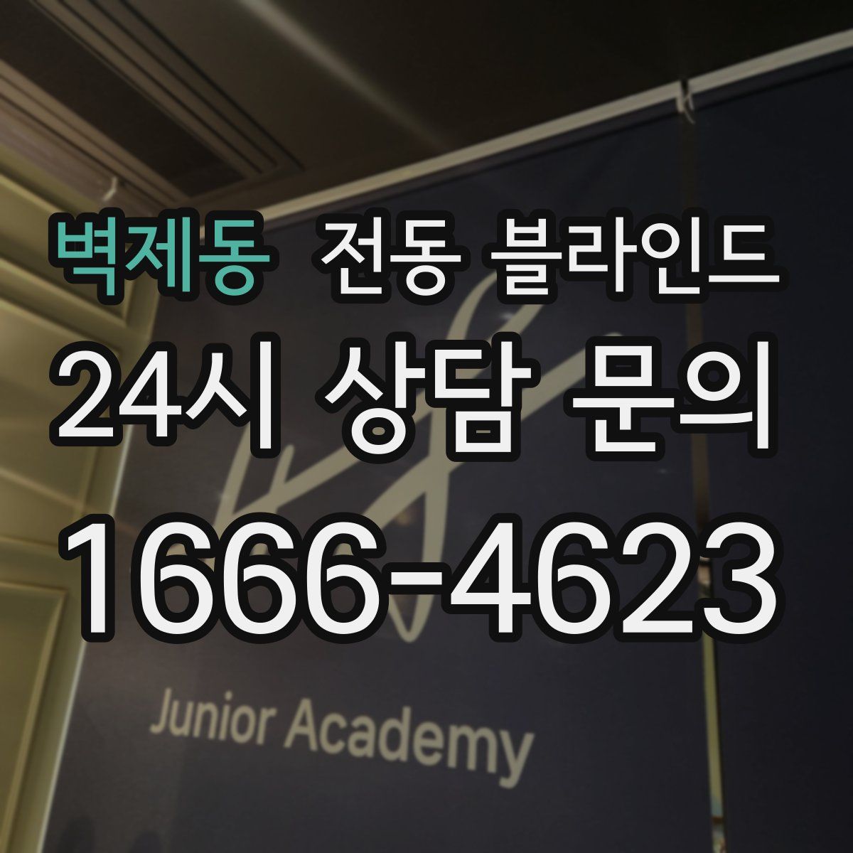 벽제동 전동 블라인드