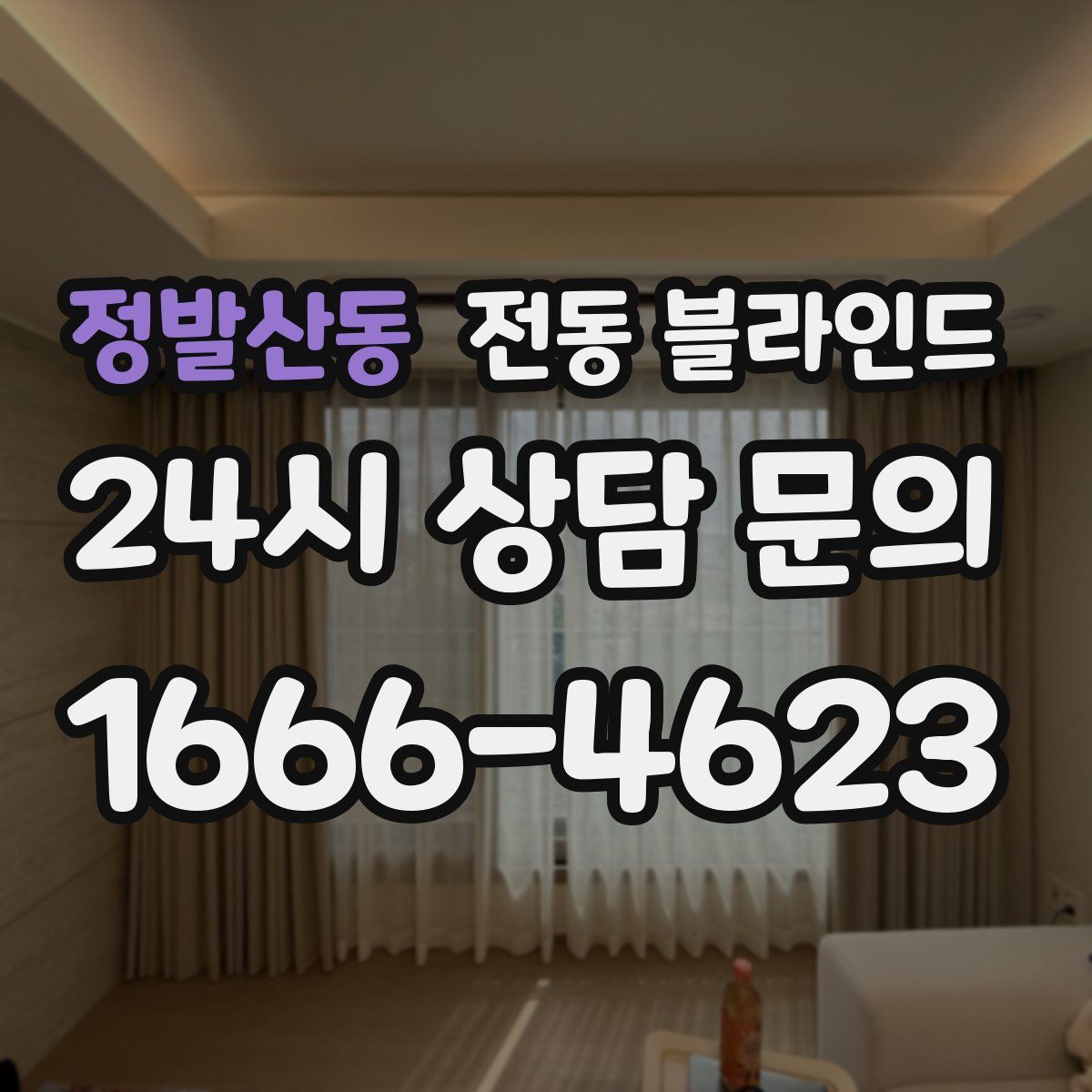 정발산동 전동 블라인드