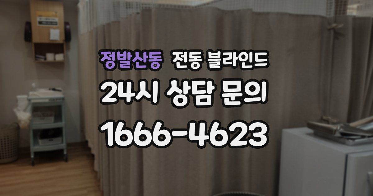 정발산동 전동 블라인드