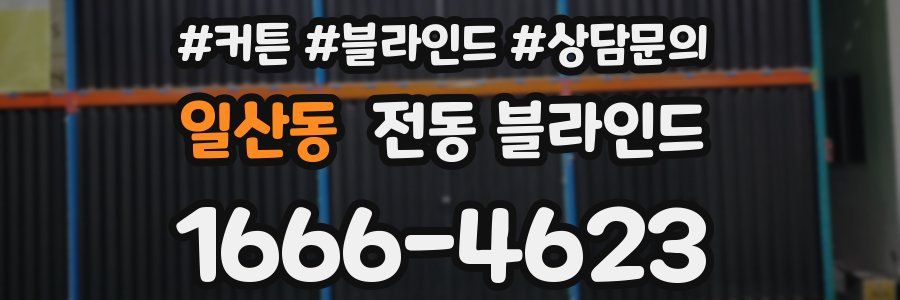 일산동 전동 블라인드