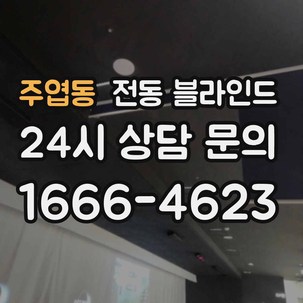 주엽동 전동 블라인드