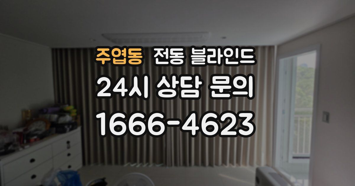 주엽동 전동 블라인드