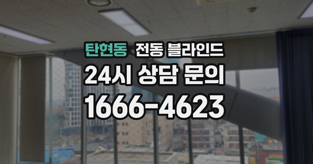 탄현동 전동 블라인드