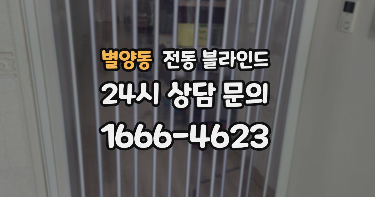 별양동 전동 블라인드