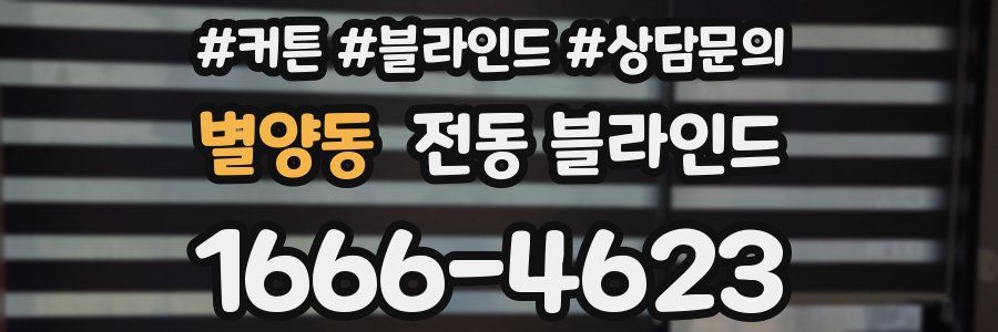 별양동 전동 블라인드