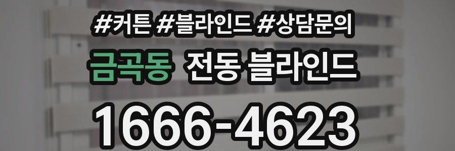 금곡동 전동 블라인드