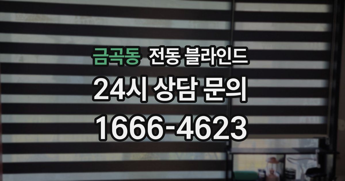 금곡동 전동 블라인드