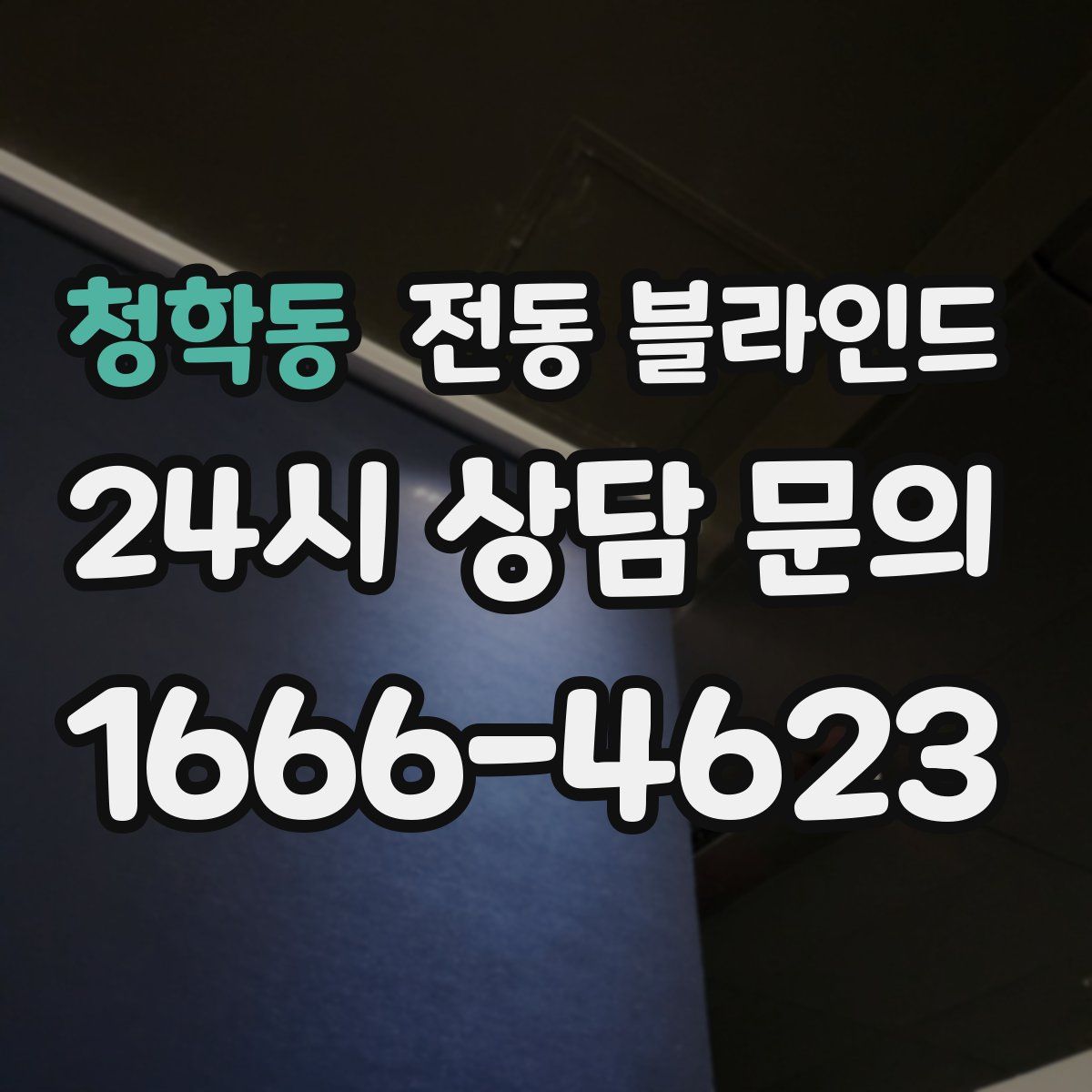 청학동 전동 블라인드