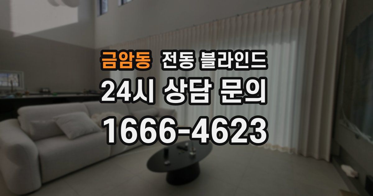 금암동 전동 블라인드