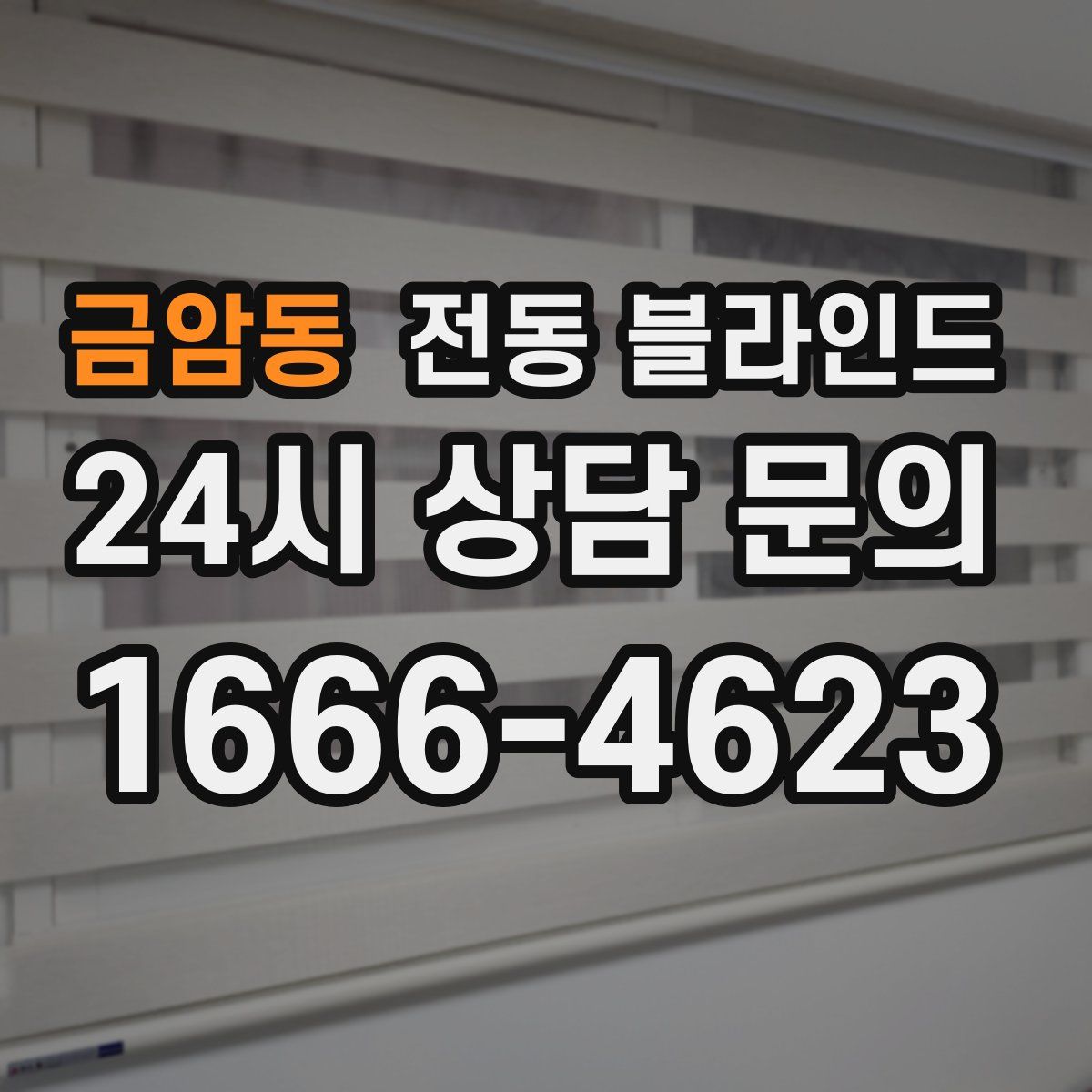 금암동 전동 블라인드