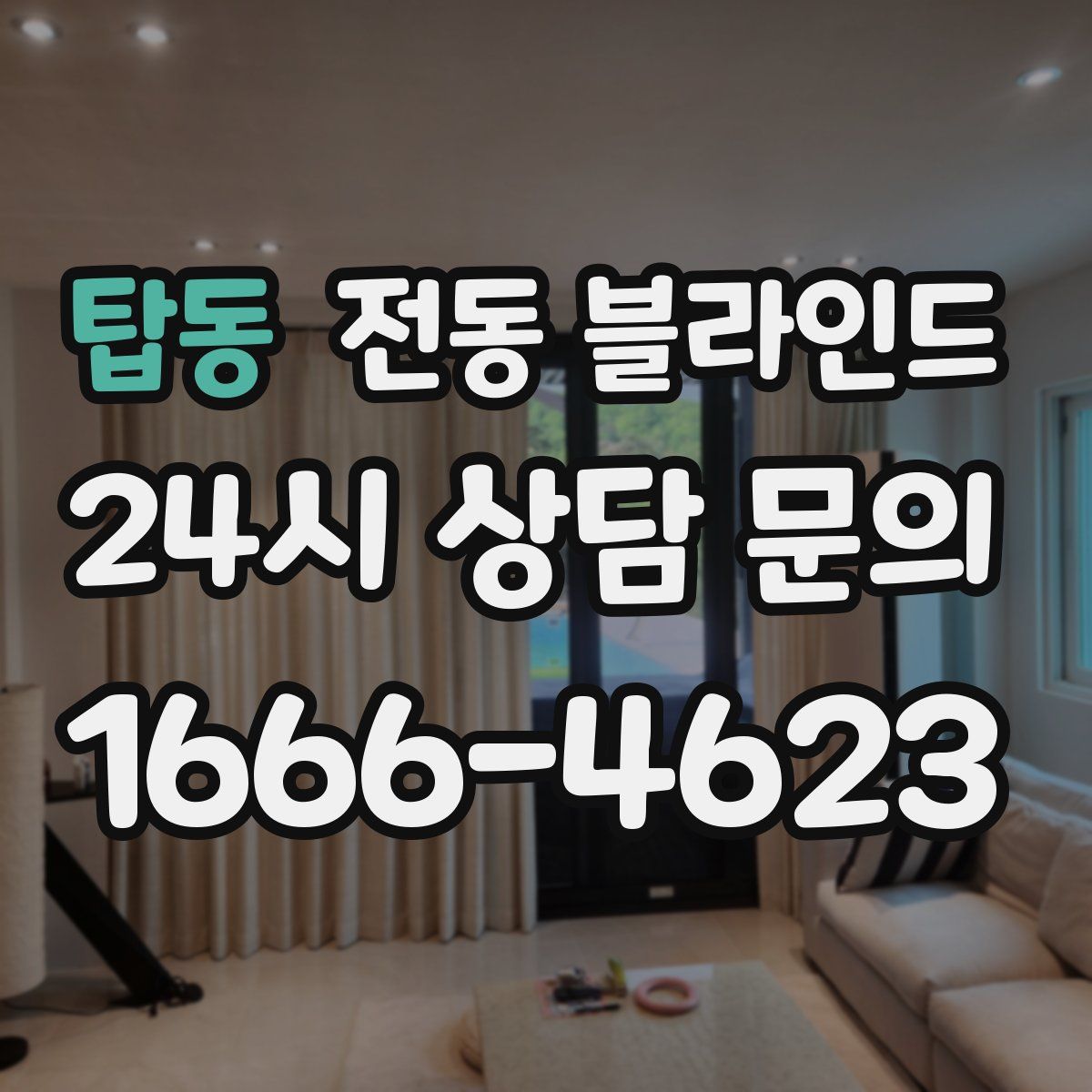 탑동 전동 블라인드