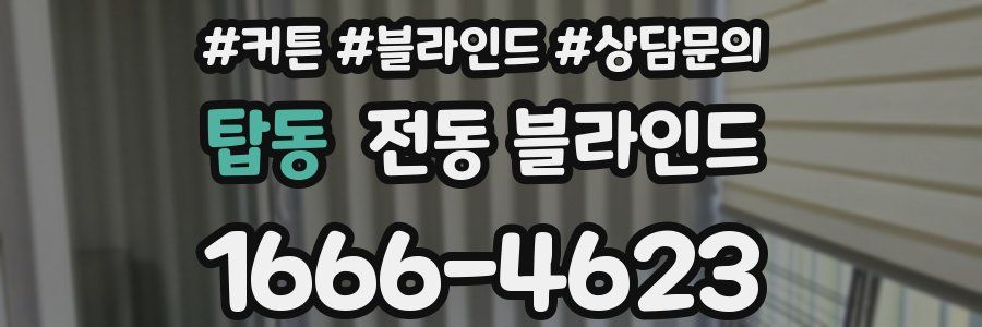 탑동 전동 블라인드