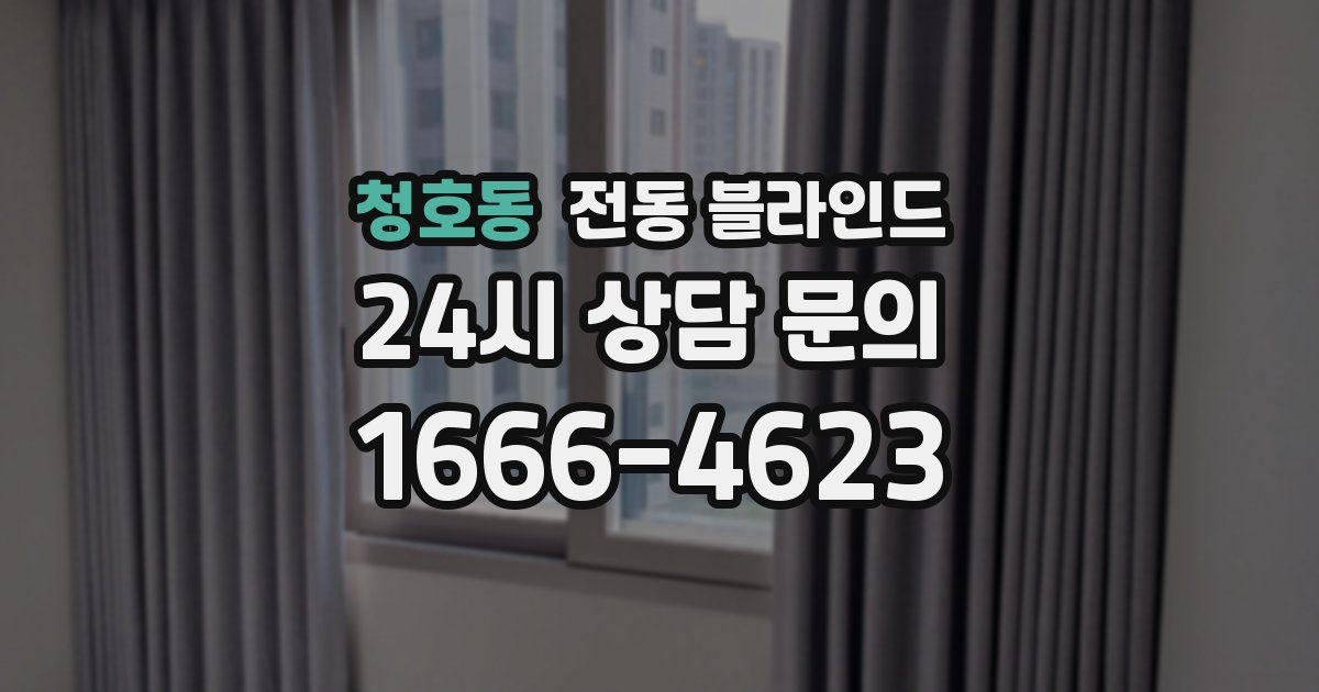 청호동 전동 블라인드