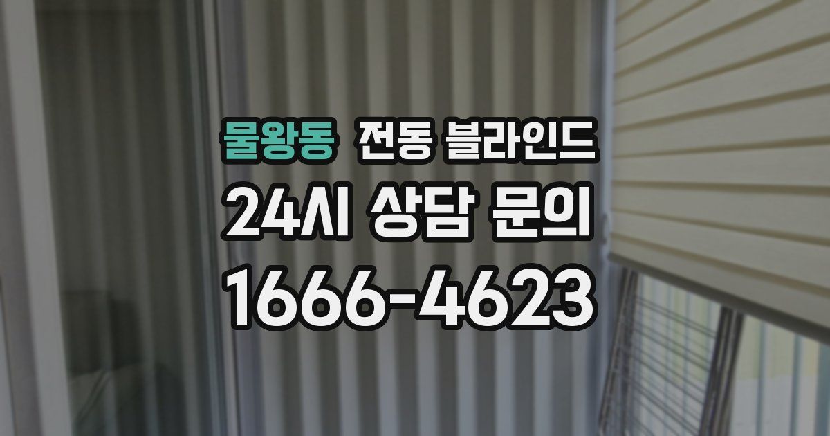 물왕동 전동 블라인드