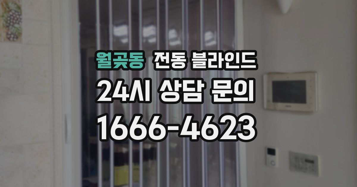 월곶동 전동 블라인드