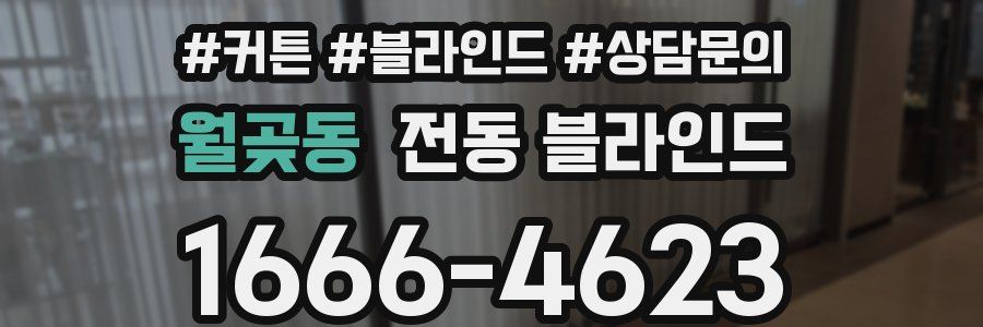 월곶동 전동 블라인드