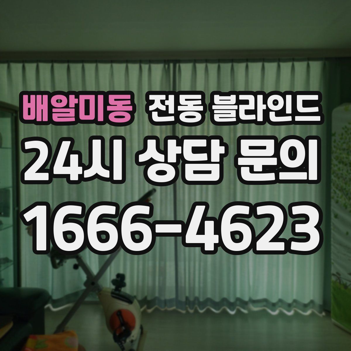배알미동 전동 블라인드