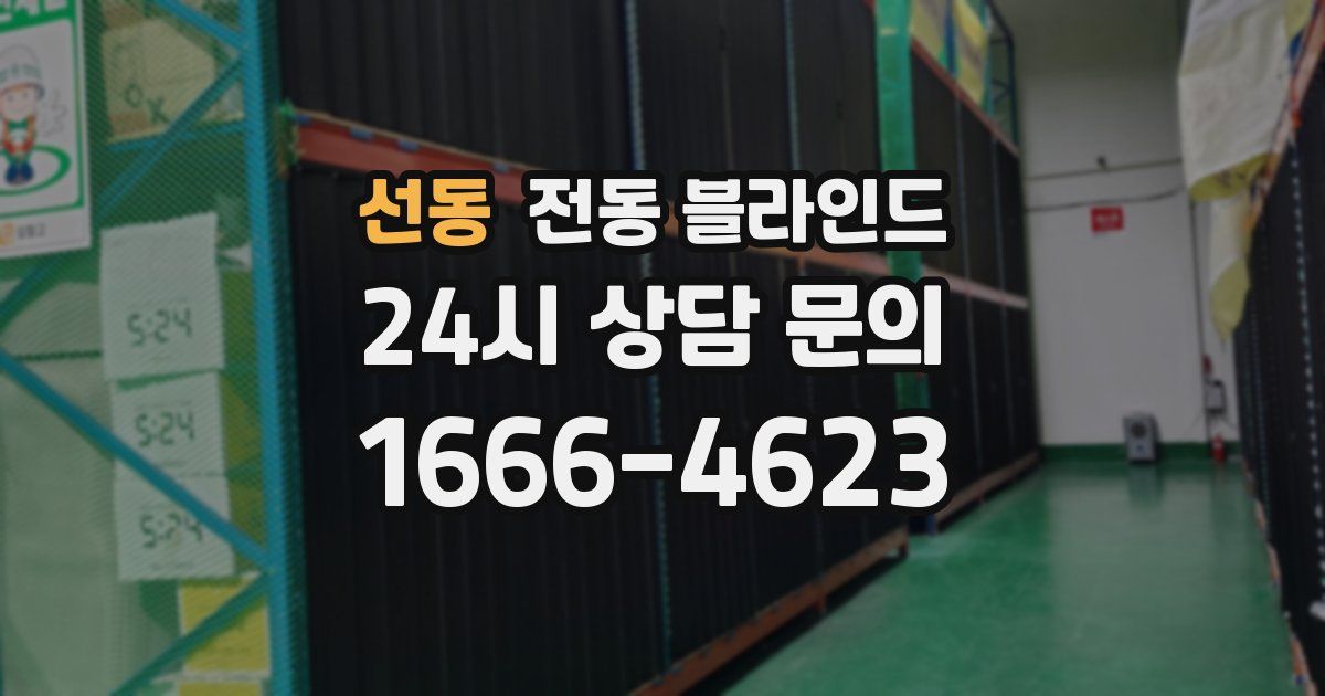 선동 전동 블라인드