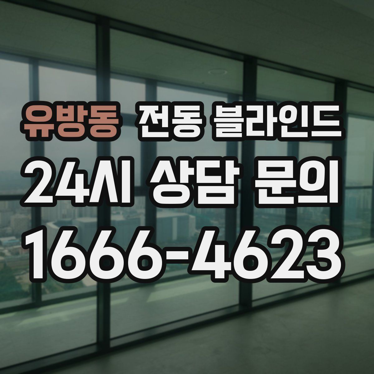 유방동 전동 블라인드