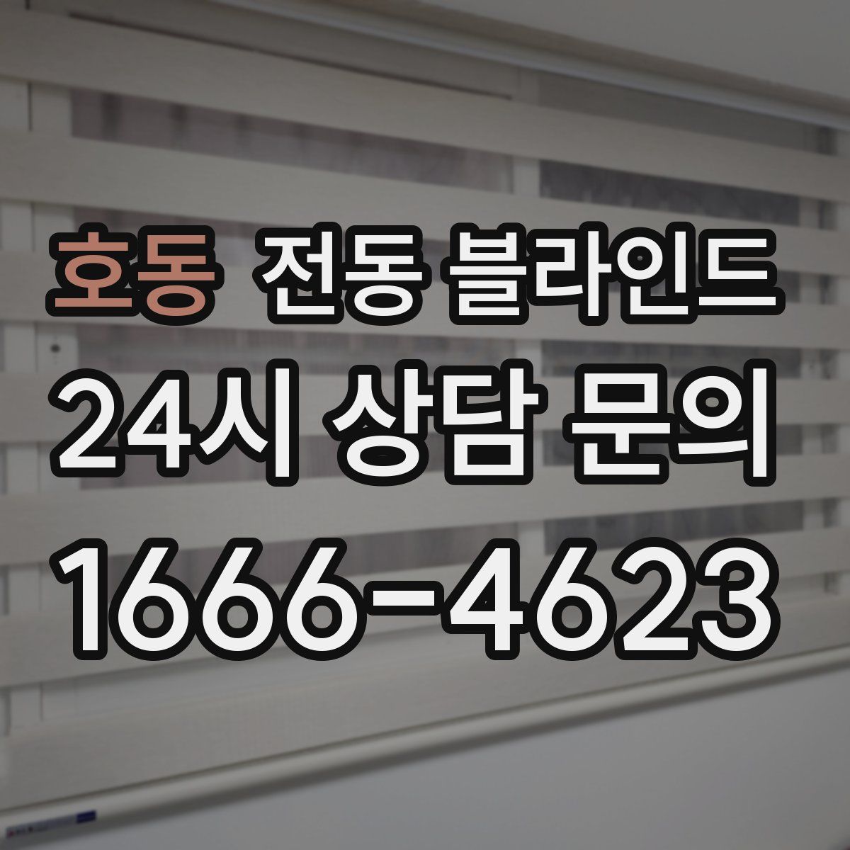 호동 전동 블라인드