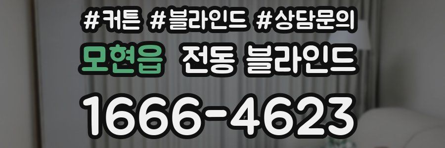 모현읍 전동 블라인드