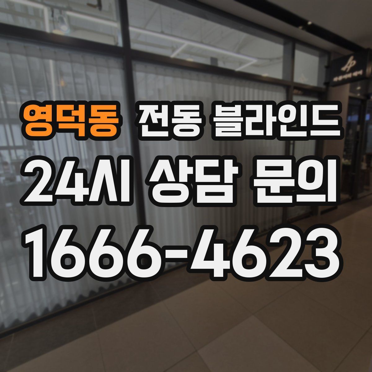 영덕동 전동 블라인드