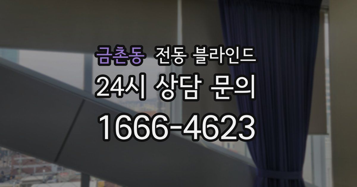 금촌동 전동 블라인드