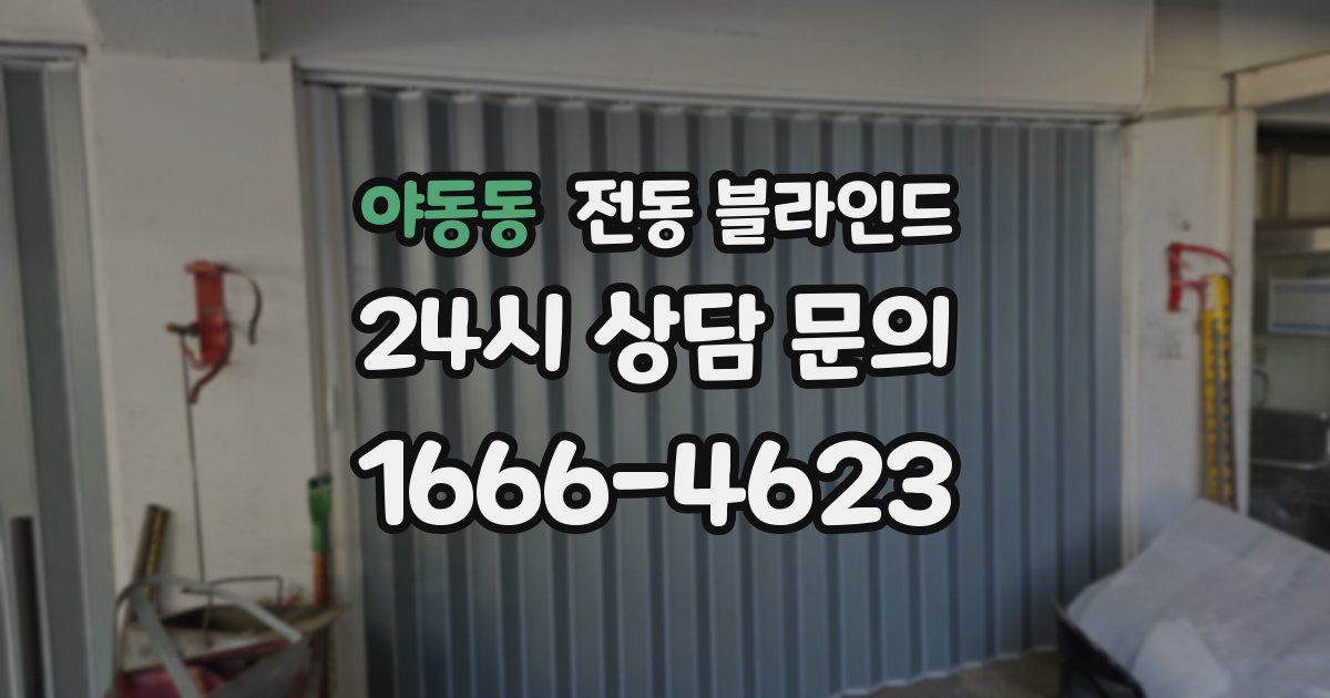 야동동 전동 블라인드