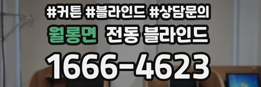 월롱면 전동 블라인드