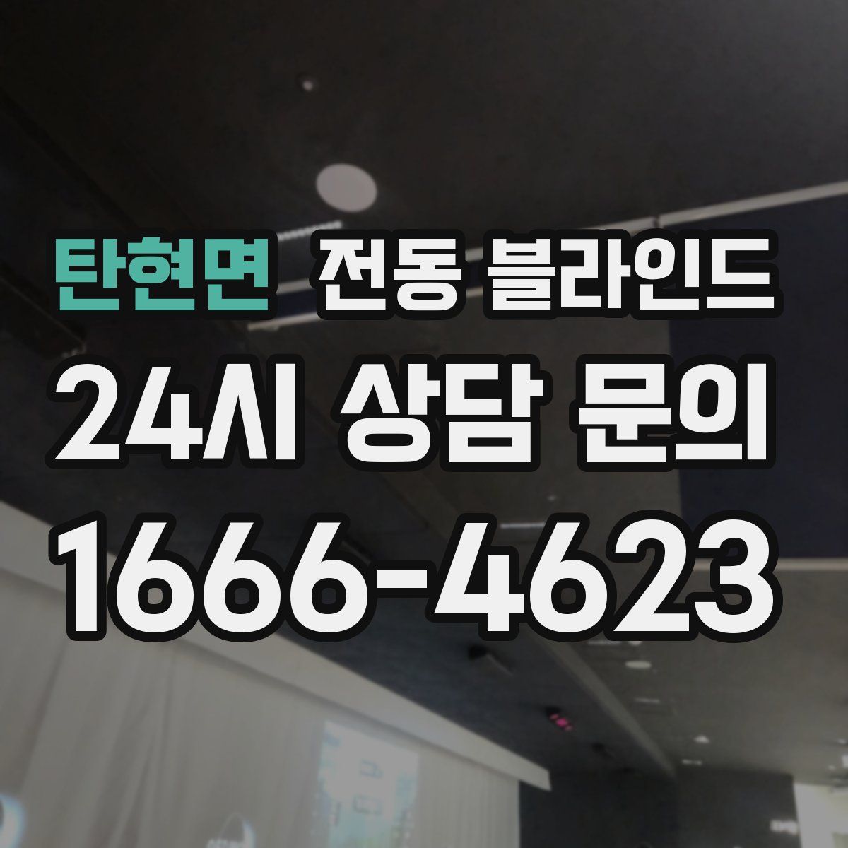 탄현면 전동 블라인드