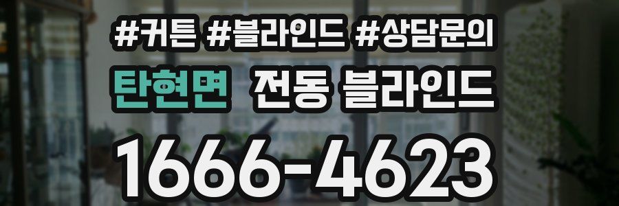 탄현면 전동 블라인드