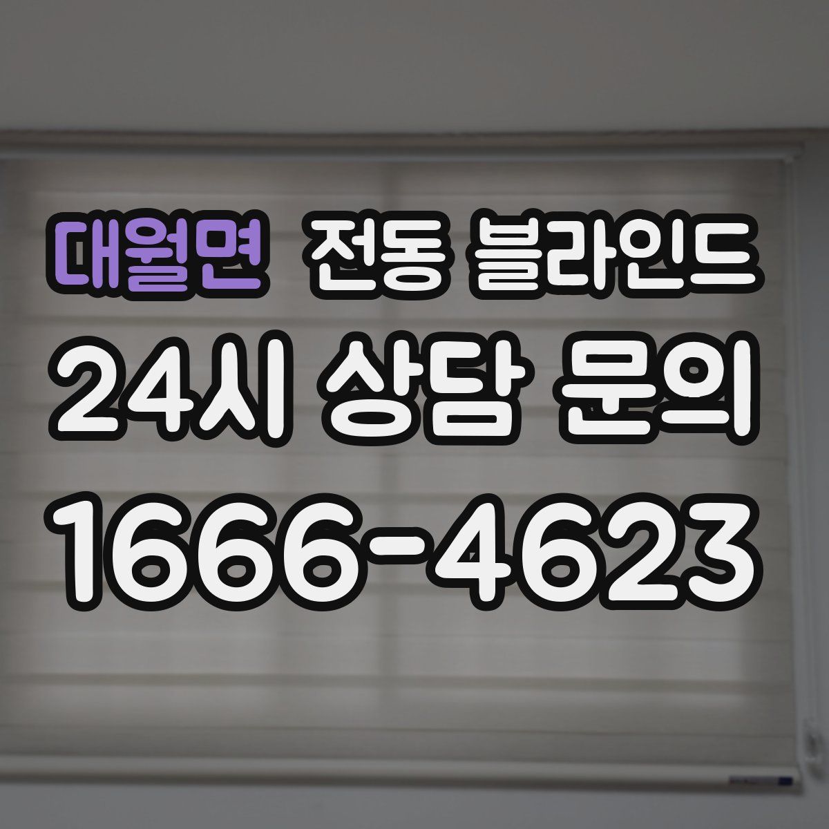 대월면 전동 블라인드