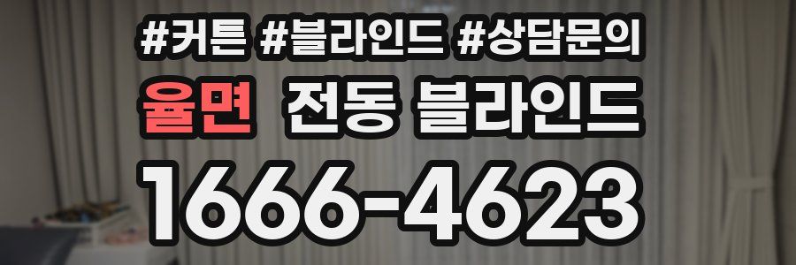 율면 전동 블라인드