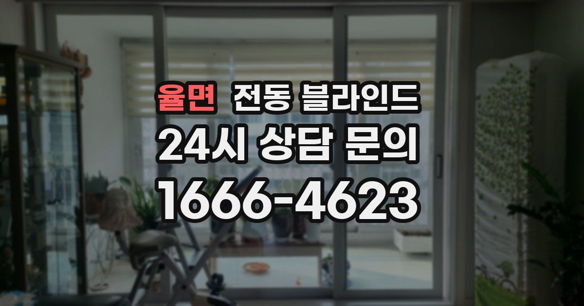 율면 전동 블라인드