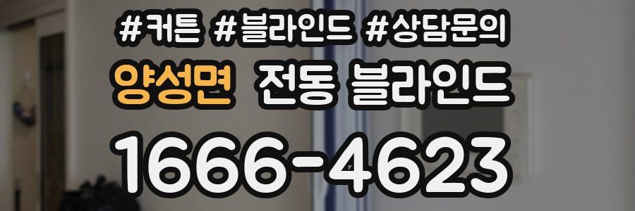 양성면 전동 블라인드