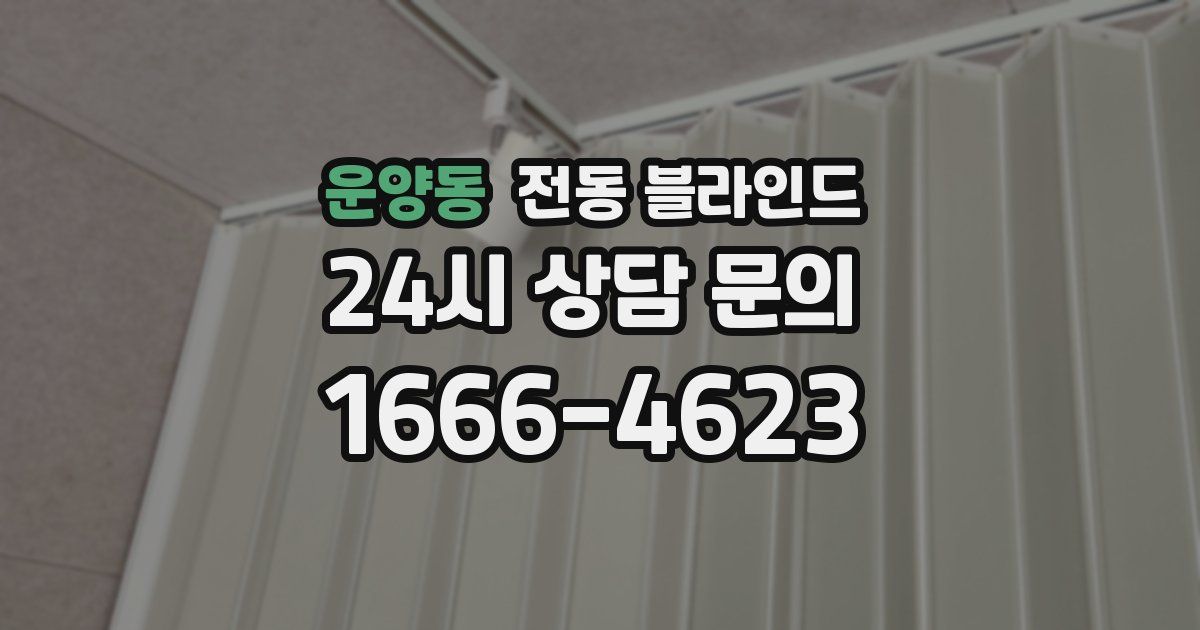 운양동 전동 블라인드