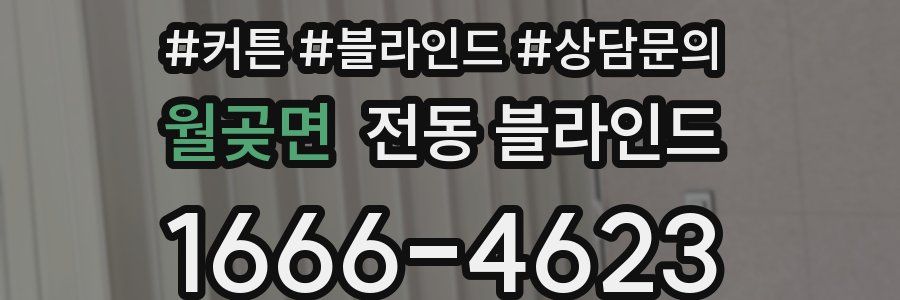 월곶면 전동 블라인드