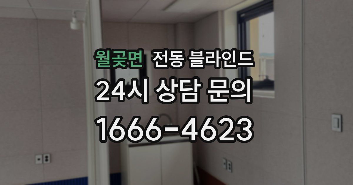 월곶면 전동 블라인드