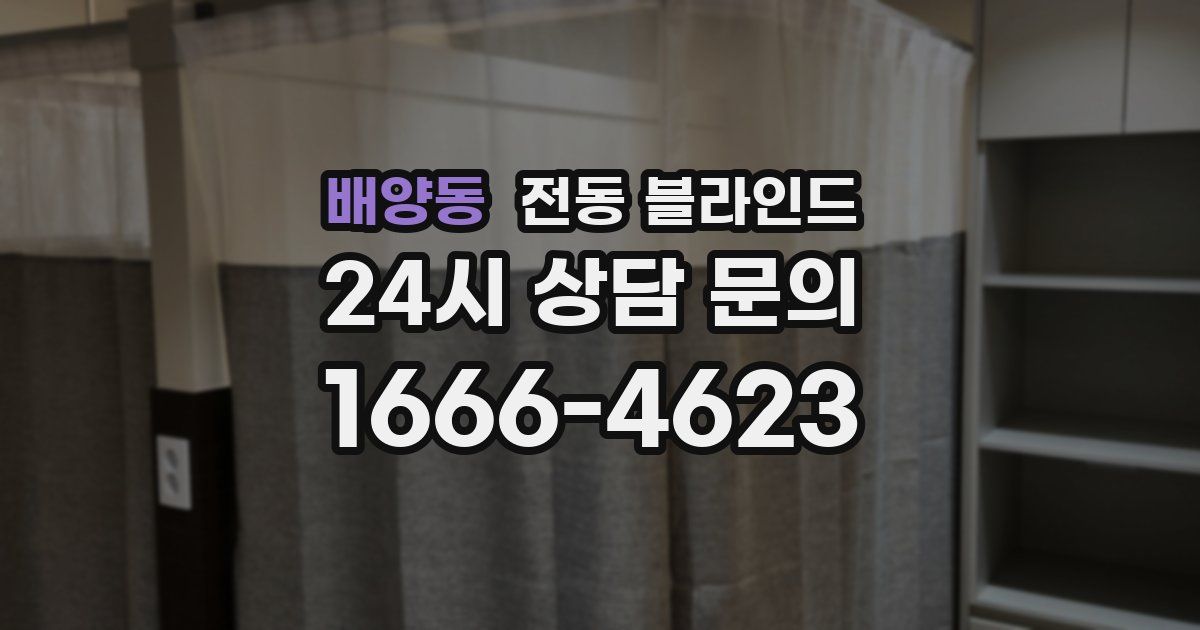 배양동 전동 블라인드