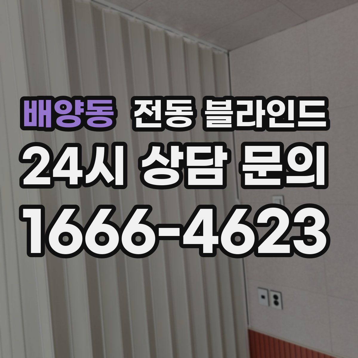 배양동 전동 블라인드