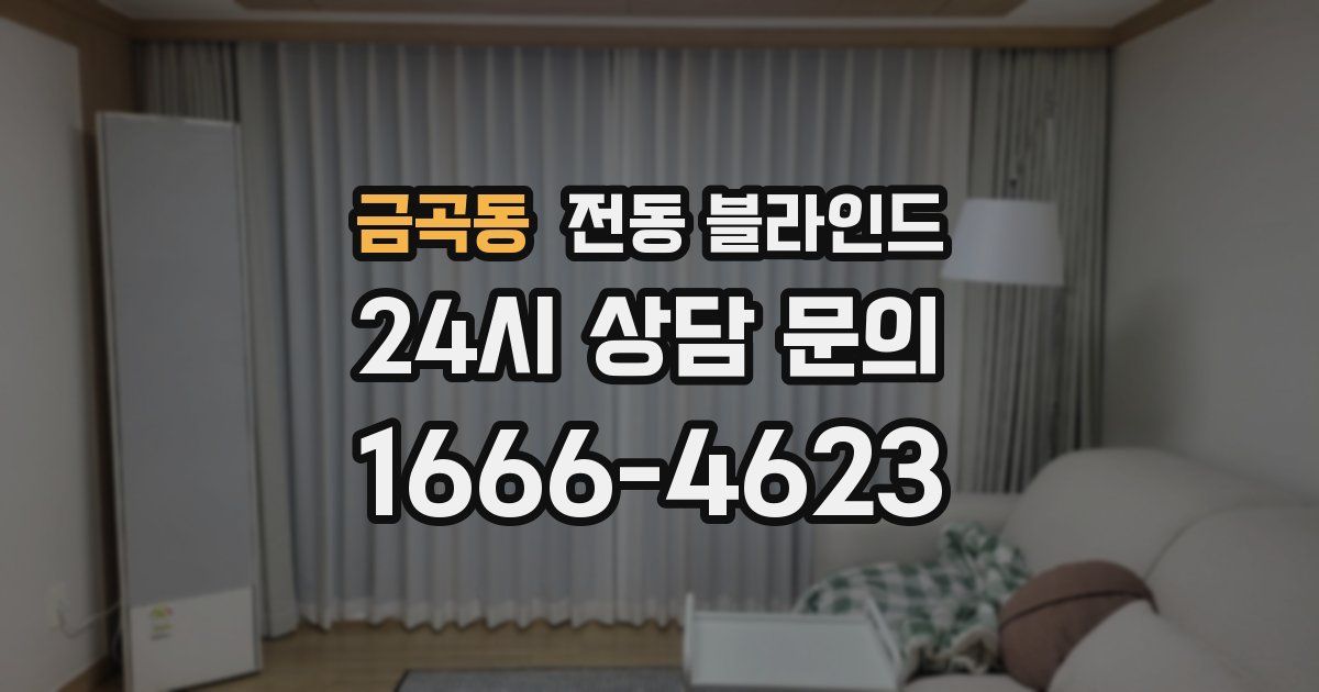 금곡동 전동 블라인드