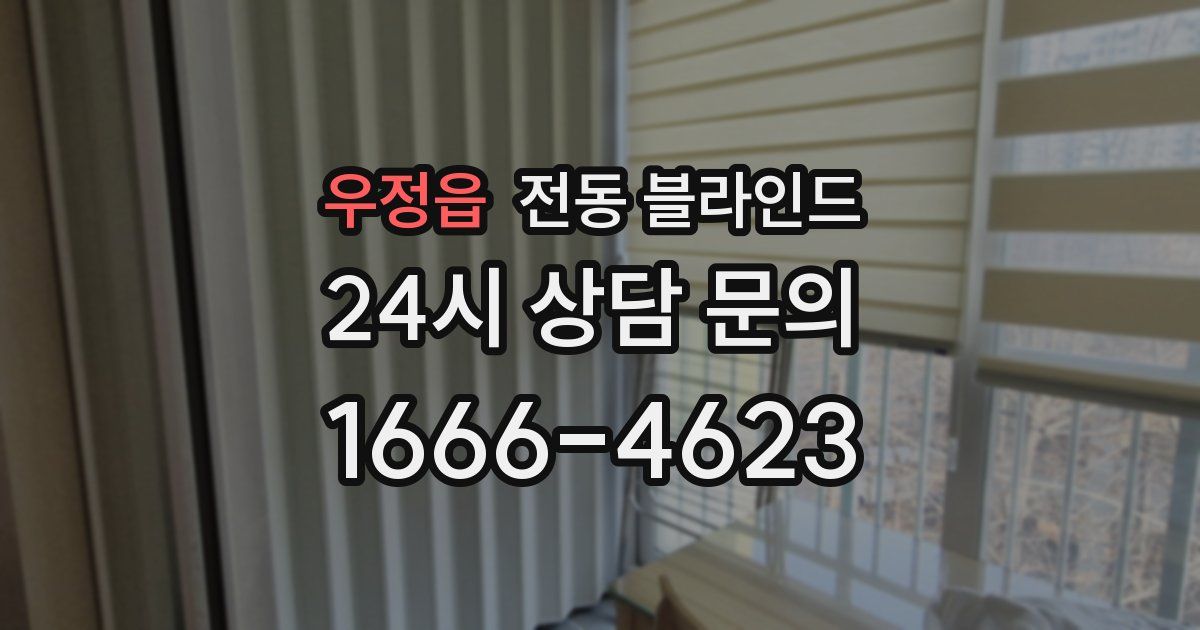 우정읍 전동 블라인드