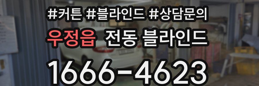 우정읍 전동 블라인드