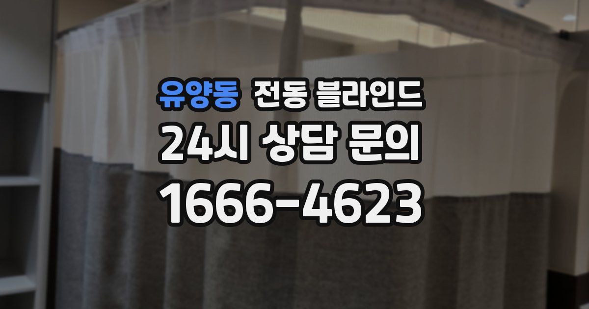 유양동 전동 블라인드