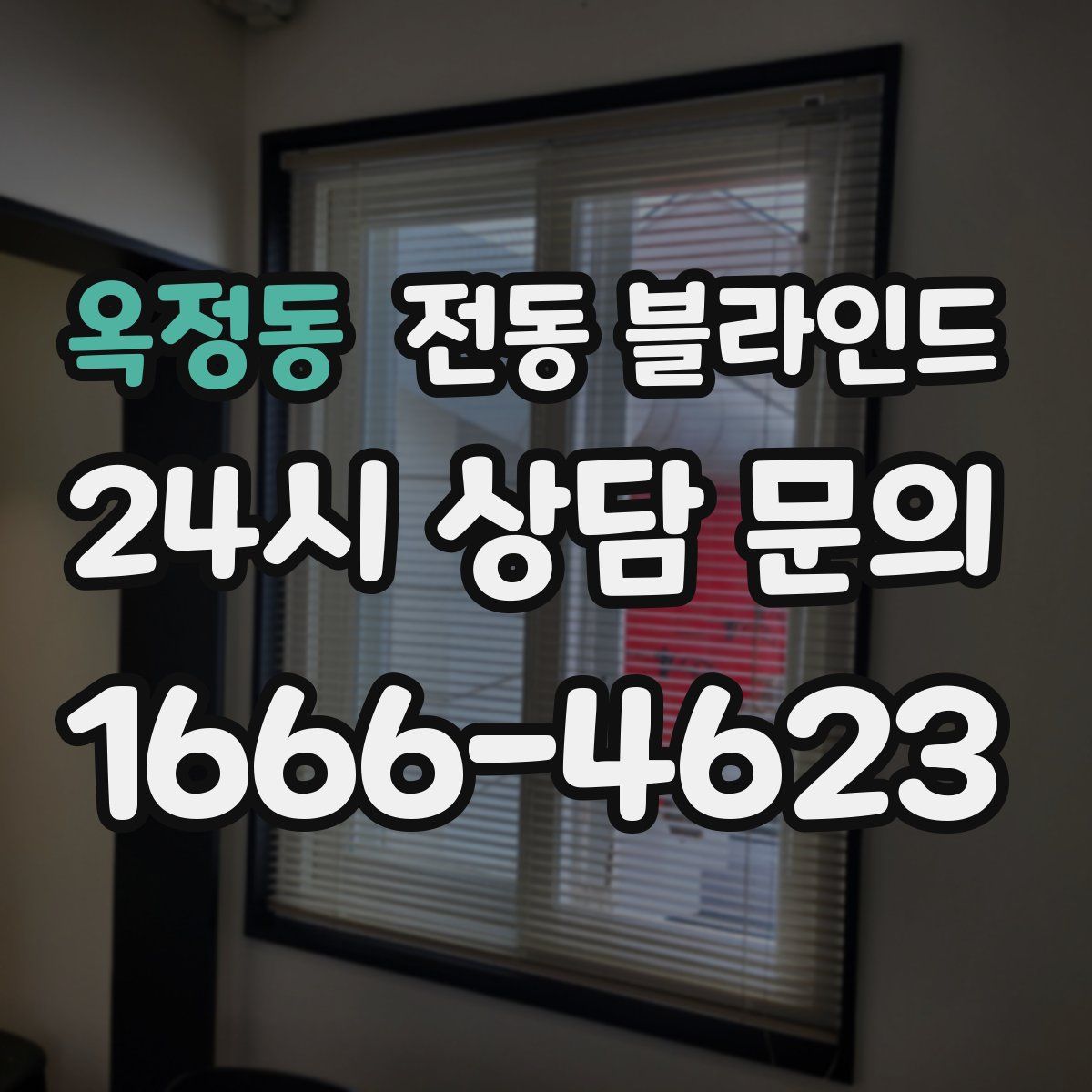 옥정동 전동 블라인드