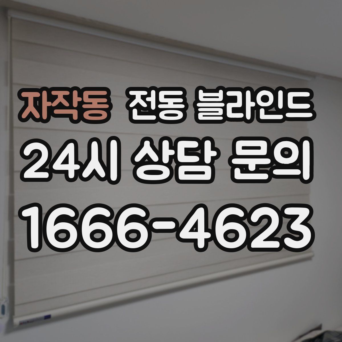 자작동 전동 블라인드