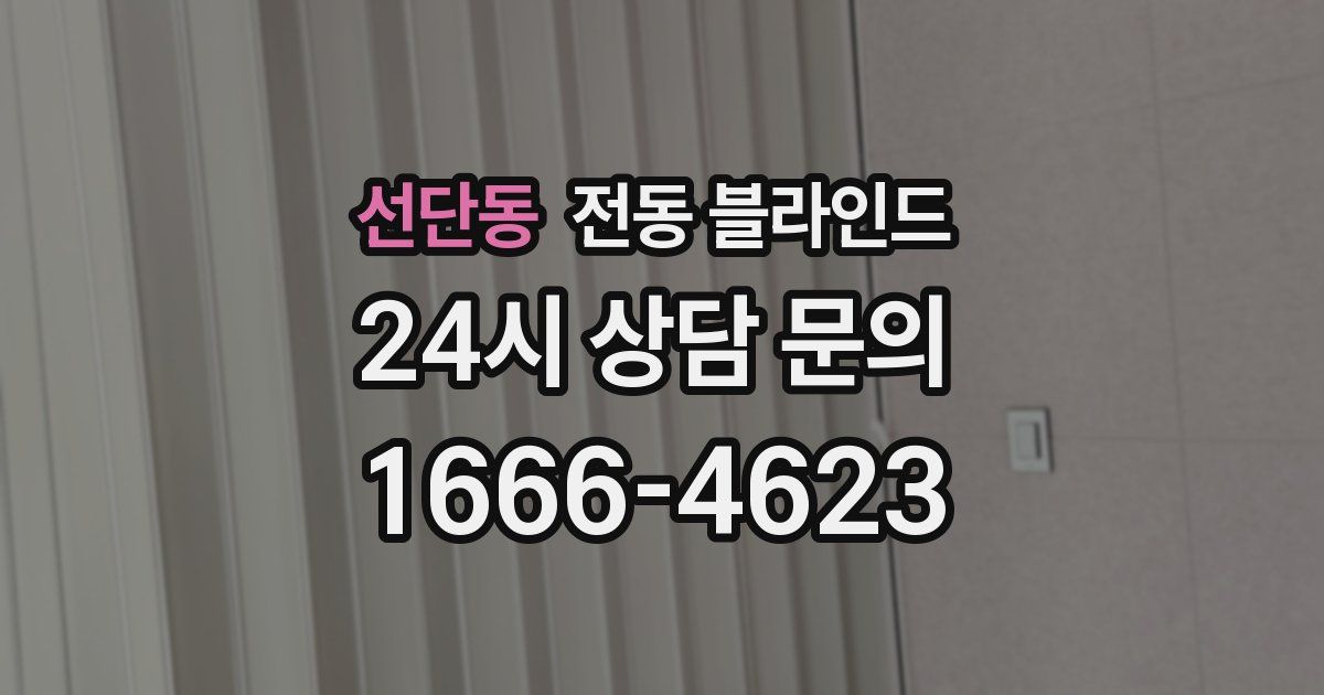 선단동 전동 블라인드