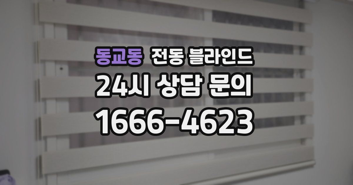 동교동 전동 블라인드