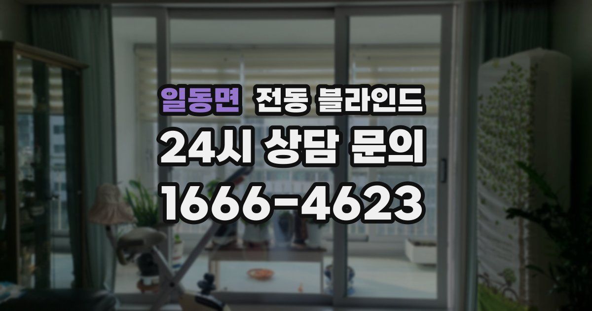 일동면 전동 블라인드